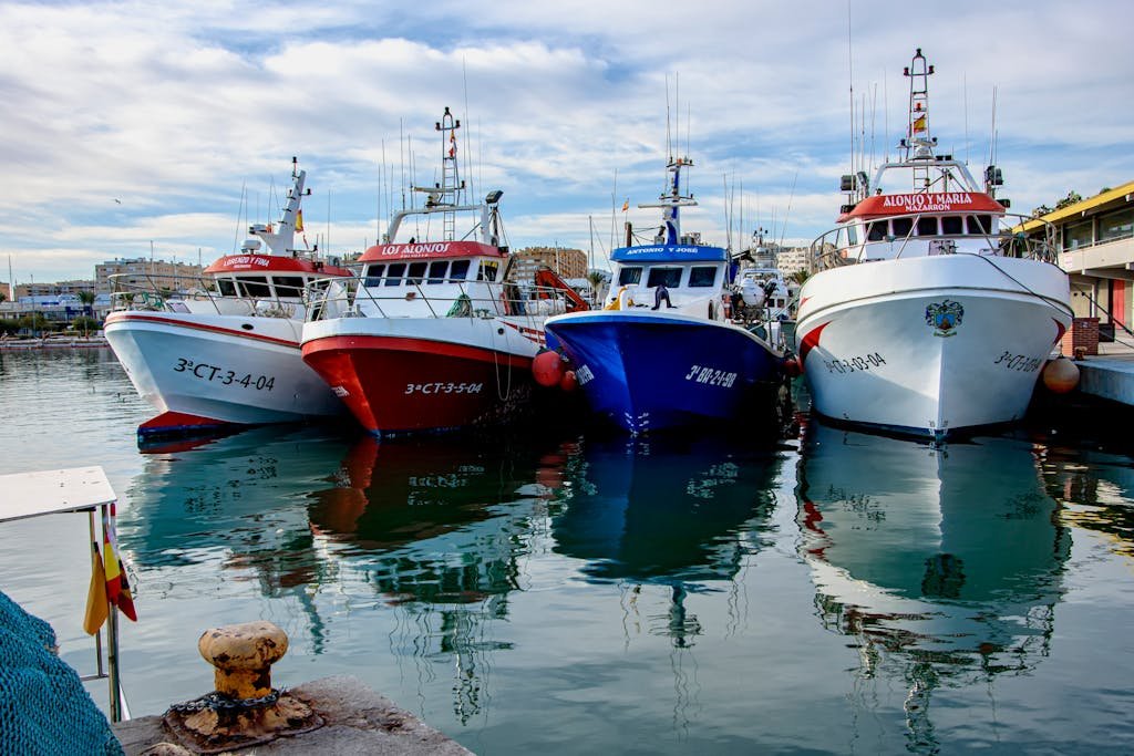 Moored fishing boats at the bustling Alicante harbor with reflections in the water, captured on a clear day.